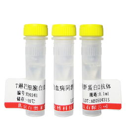 非哺乳動(dòng)物蛋白抗體在非臨床診斷用生物試劑中的應(yīng)用與優(yōu)勢(shì)